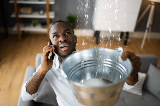 Best 24/7 water damage repair  in Alma, AR