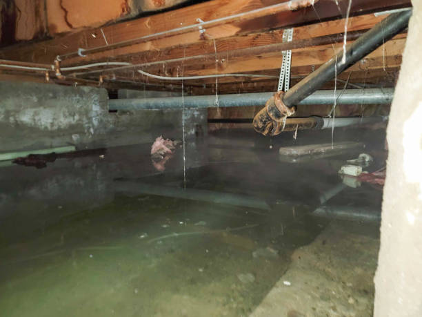 Trusted Alma, AR Water damage restoration Experts