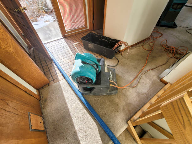Carpet water damage restoration in Alma, AR