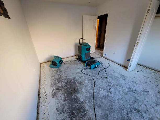 Best Residential water damage restoration  in Alma, AR