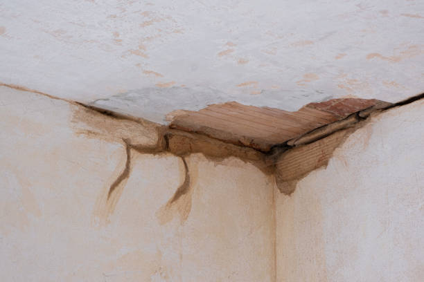 Best Carpet water damage restoration  in Alma, AR