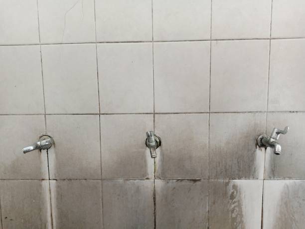 Best Flood restoration services  in Alma, AR