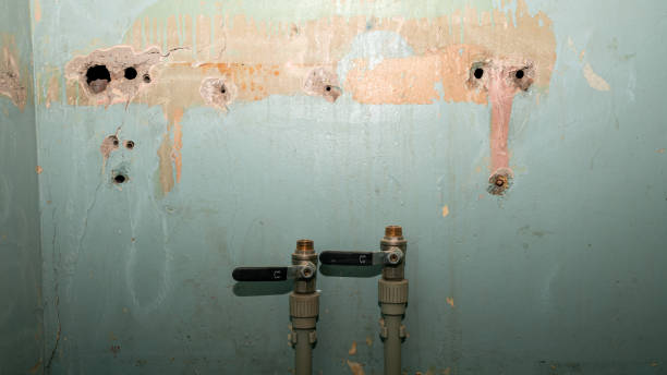 Best 24-hour water damage restoration  in Alma, AR