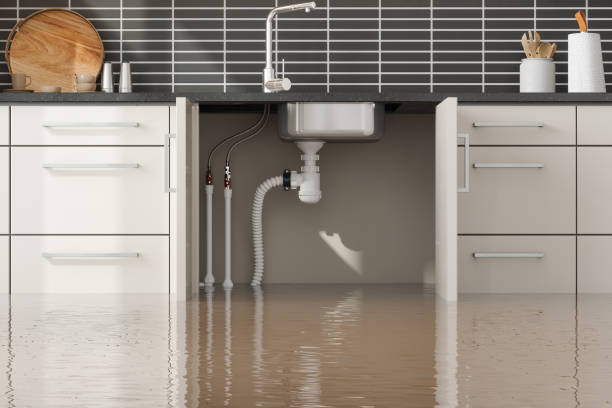 Best Flood damage cleanup  in Alma, AR