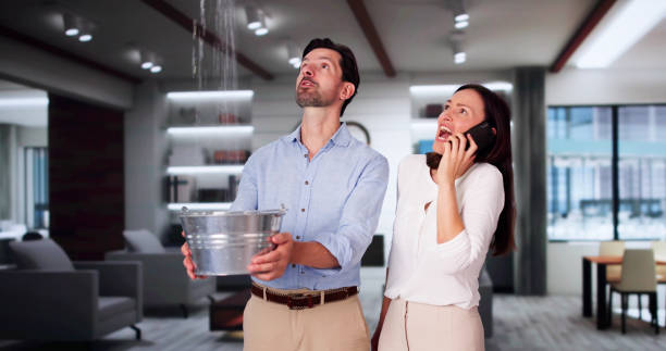 Best Water damage restoration near me  in Alma, AR
